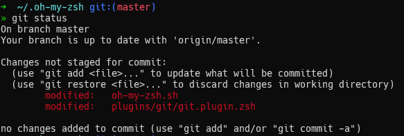 ohmyzsh modified files